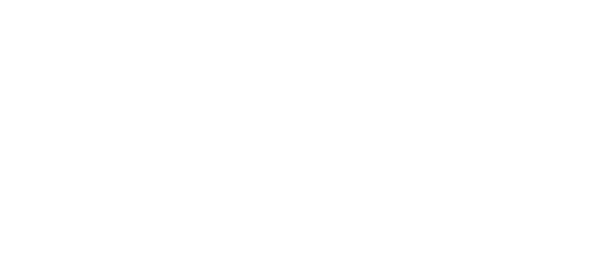 WSP Logo